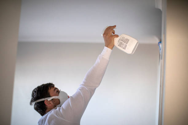 Best Crawl Space Mold Removal  in Lake Geneva, WI