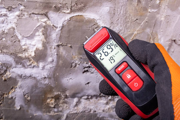 Best Mold Removal Process  in Lake Geneva, WI