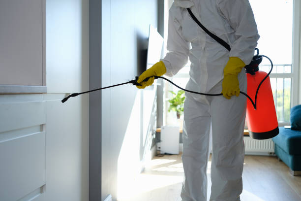 Crawl Space Mold Removal in Lake Geneva, WI