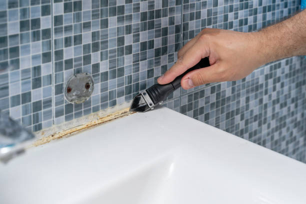 Best Local Mold Removal Service  in Lake Geneva, WI