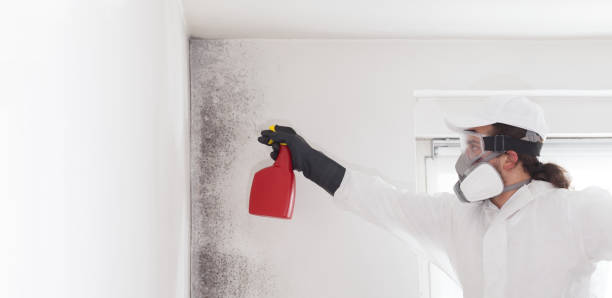 Best Crawl Space Mold Removal  in Lake Geneva, WI